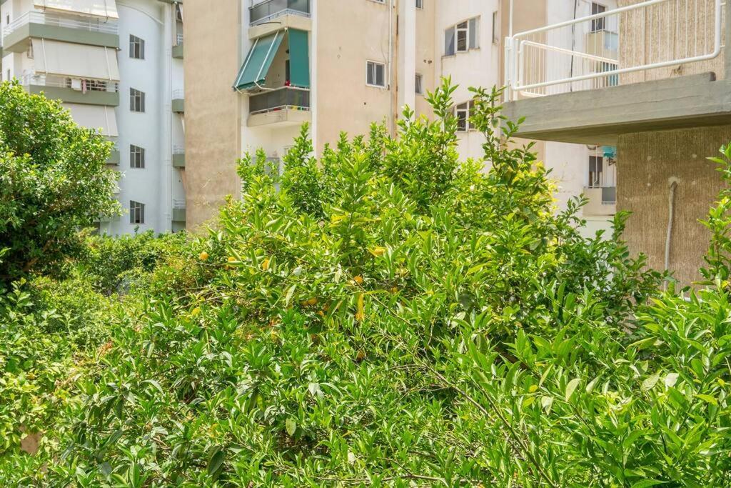 Alimos Sun-Filled Apartment 雅典 外观 照片